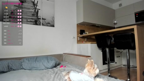 chloetaya  26-03-2022